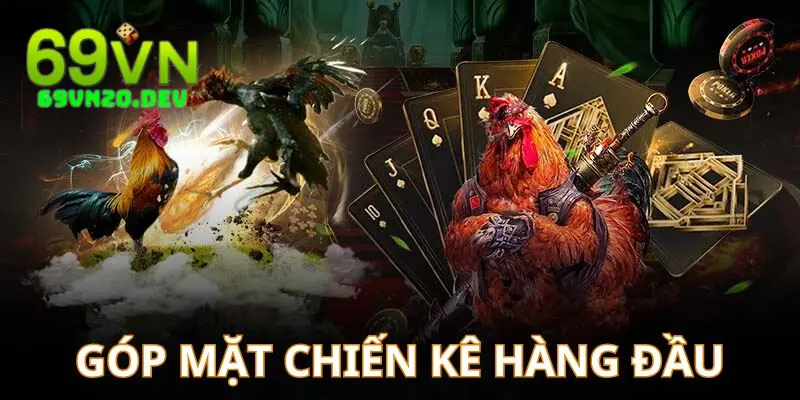 Đá Gà Trực Tiếp Casino 999